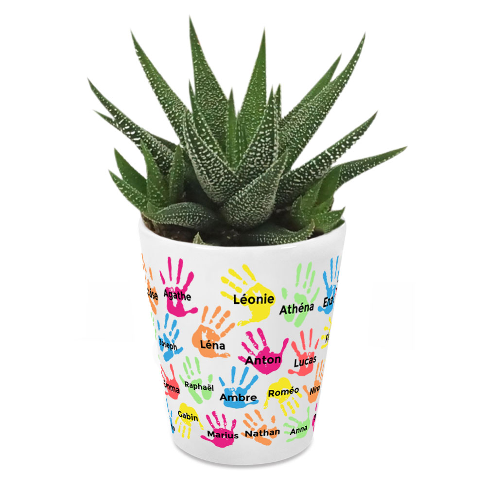 Planta suculenta con manos y nombres de alumnos Planta suculenta con manos y nombres de alumnos